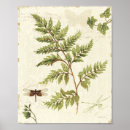 Suche nach green leaves poster Botanical