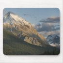 Suche nach gipfel mousepads Berg