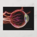 Recherche de sanguin cartes postales Image