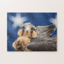 Recherche de falcone Oiseau