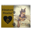 Suche nach haustier kalender Einzigartig