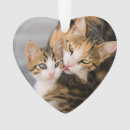 Suche nach niedliche katze ornamente Für kinder