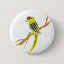 Recherche de macaw badges Animal