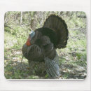 Recherche de cerf commun tapis souris Élans