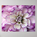 Recherche de mat posters Blanc