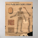 Recherche de squelette vintage posters Anatomique
