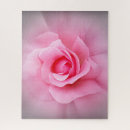 Recherche de pétales roses puzzles Arrière plan