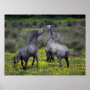 Suche nach mahn poster Wiese