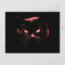 Recherche de mystérieux cartes postales Chat noir