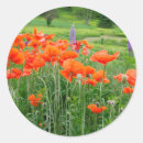 Suche nach anon aufkleber Blume