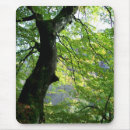 Suche nach sonnenlicht mousepads Baum