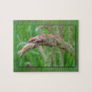 Suche nach regentropfen puzzle Blüte