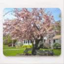 Suche nach kirschblüte baum mousepads Rosa