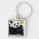 Recherche de smithsonian porteclés Photos du panda