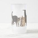 Recherche de chat chopes Animaux de compagnie
