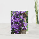 Suche nach clematis karten Weinrebe