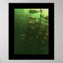 Suche nach gewächshaus poster Fantasie