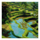 Suche nach asien reise poster Dschungel