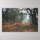 Suche nach mystischer wald poster Baum