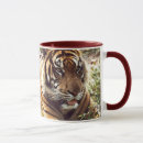 Suche nach tiger tassen Fotografie