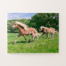 Suche nach lustiges pferd puzzle Tier