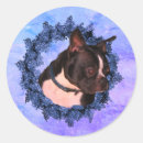 Suche nach boston terrier aufkleber Blume