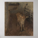 Suche nach jersey kuh poster Kalb