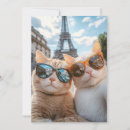 Suche nach eine coole katze einladungen Katzen