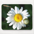 Suche nach weißes gänseblümchen mousepads Botanisch