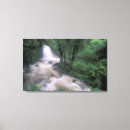 Suche nach die regenwälder leinwandbilder Pflanze