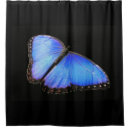Recherche de morpho Bogue