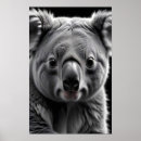 Suche nach koala poster Bezaubernd