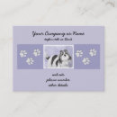 Recherche de tzu shih cartes visite Chiot