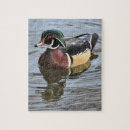 Suche nach ente puzzle Vogelbeobachtung