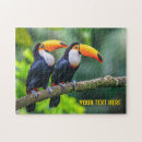 Recherche de toucan puzzles Jungle