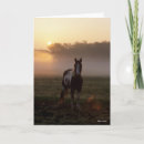 Recherche de sunrise vœux cartes Animal