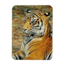 Recherche de fort refrigérateur magnets Courageux