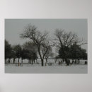 Suche nach landscape photography poster Trees