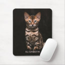 Suche nach junges mousepads Haustier