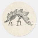 Suche nach stegosaurus aufkleber Prähistorisch
