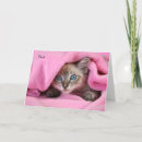 Suche nach decken karten Katze