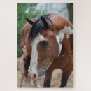 Suche nach pony puzzle Wild