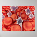 Suche nach zytoplasma poster Digital generiertes bild