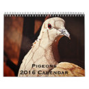 Suche nach tauben kalender Vögel