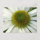Suche nach attraktiv postkarten Blume