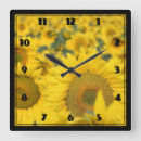 Recherche de fleur sauvage jaune art Nature