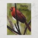 Recherche de cardinal nord cartes postales Cardinaux
