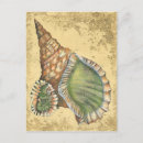 Suche nach grüner sand postkarten Küste