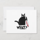 Recherche de chat réponses cartons Drôle