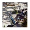 Suche nach seevögel fliesen Vogelvogel